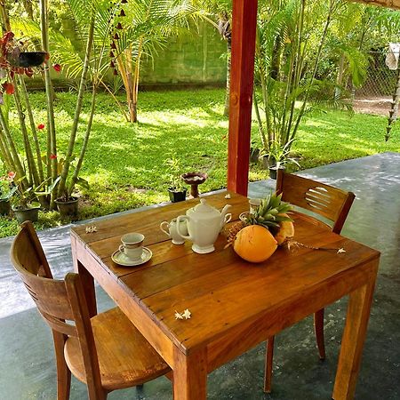 Jasmin Homestay Marakolliya Tangalle Zewnętrze zdjęcie