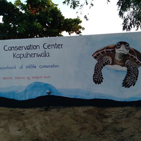 Jasmin Homestay Marakolliya Tangalle Zewnętrze zdjęcie