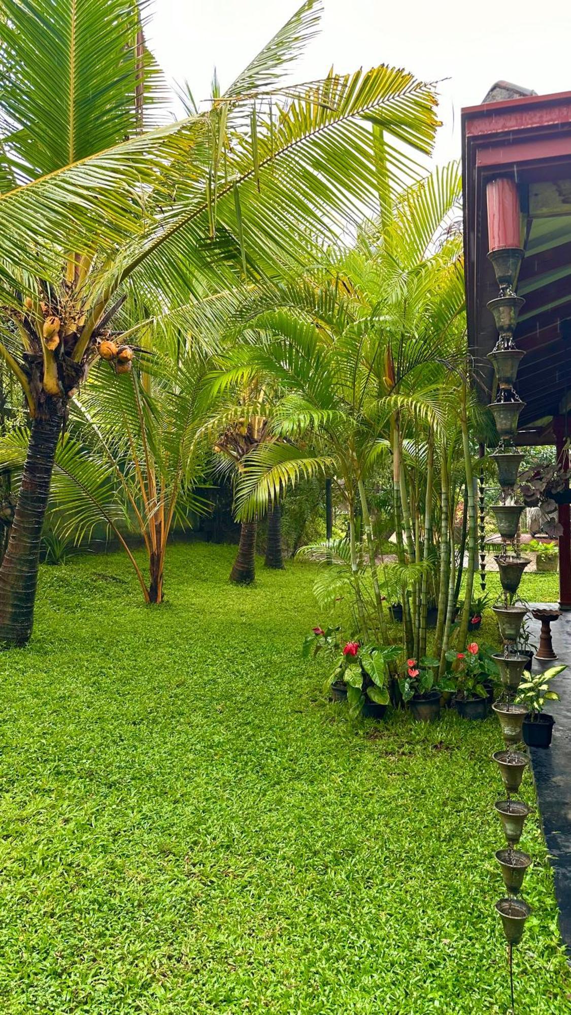 Jasmin Homestay Marakolliya Tangalle Zewnętrze zdjęcie