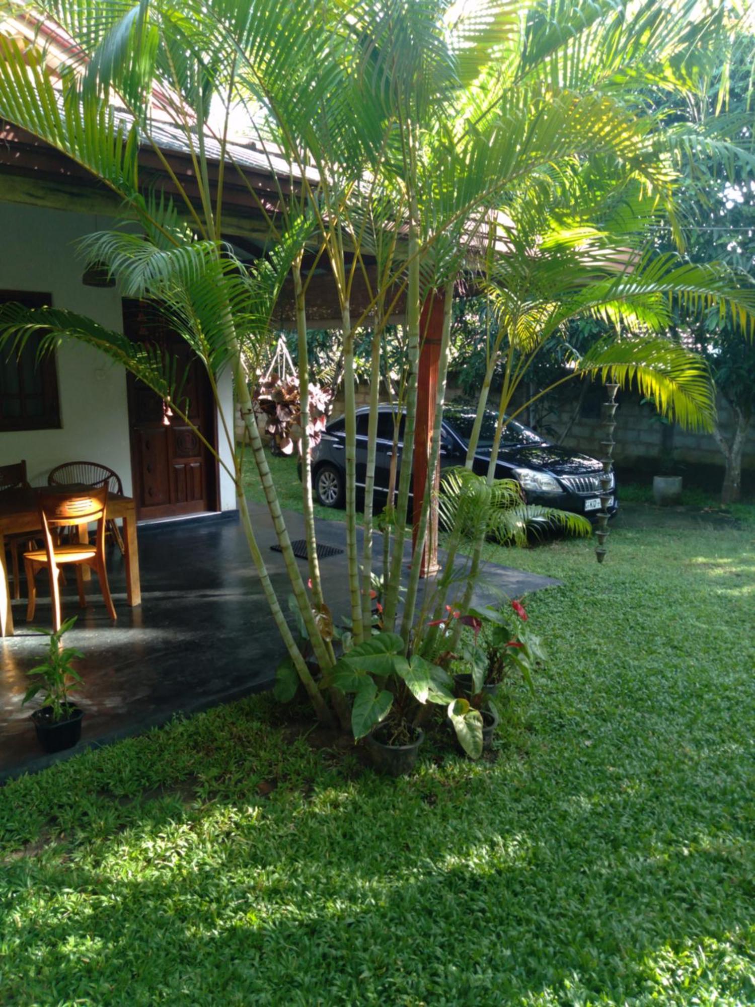 Jasmin Homestay Marakolliya Tangalle Zewnętrze zdjęcie