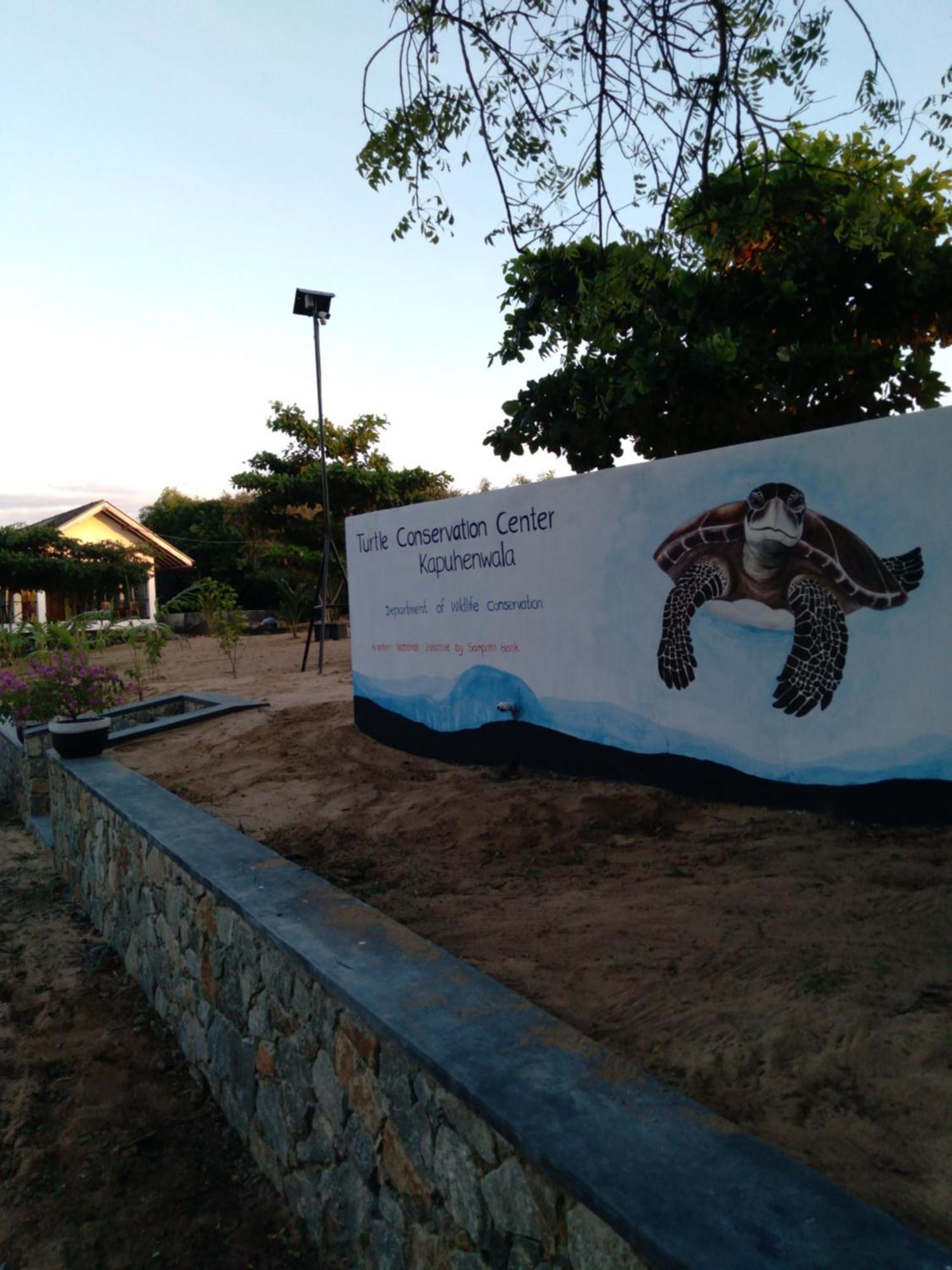Jasmin Homestay Marakolliya Tangalle Zewnętrze zdjęcie